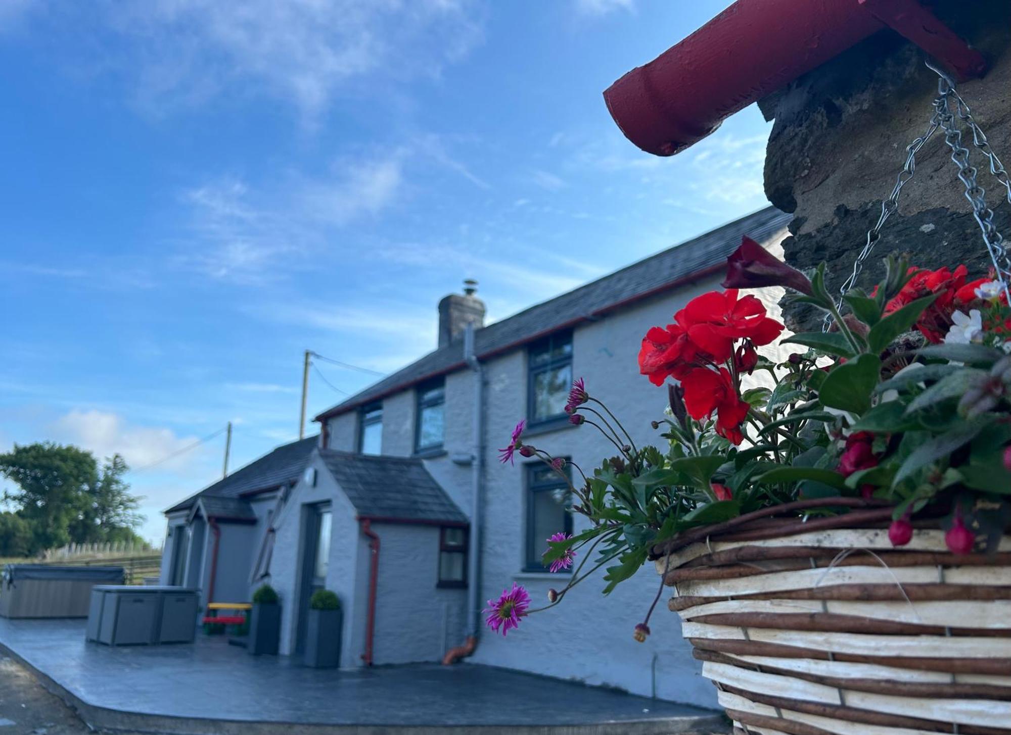 Cosy Countryside Cottage Aberystwyth Exterior photo